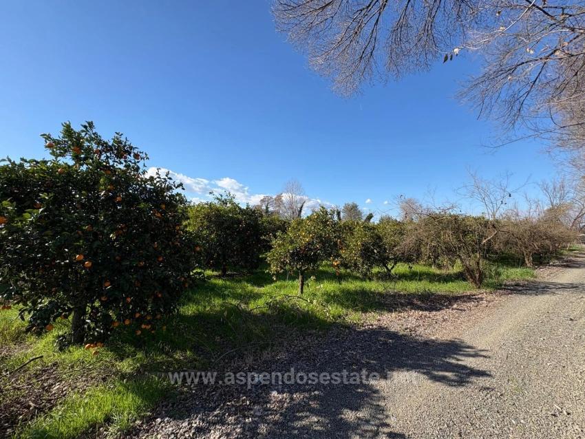 4,326 M² Plot Of Land For Sale In The Residential Area Of Okçular.