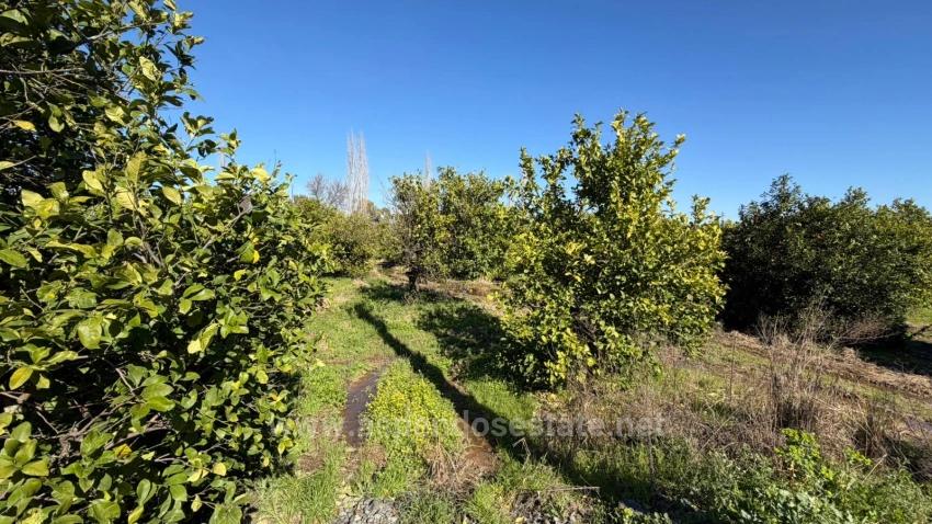 2.218M2 Land For Sale In Okçular Marmarlı