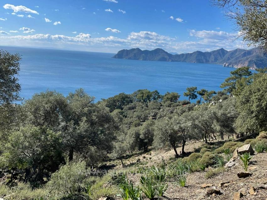 Çandır 20.000M2 2B For Sale With Full Sea View