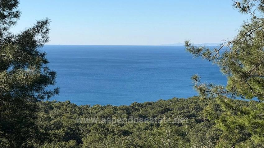 2B Field Of 5715M2 For Sale With Full Sea View In Çandır