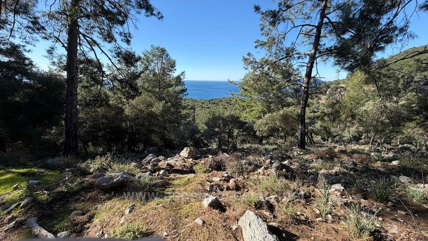 Field For sale in Çandır Nbh. Köyceğiz - Housing Zoned - 5.715 m²