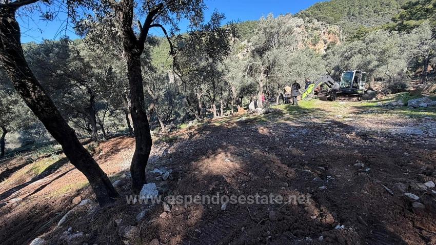 2B Field Of 5715M2 For Sale With Full Sea View In Çandır