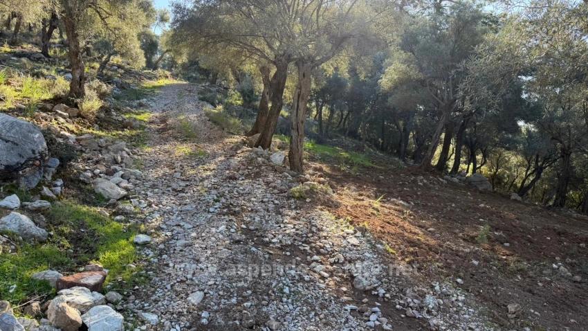 Field For sale in Çandır Nbh. Köyceğiz - Housing Zoned - 5.715 m²