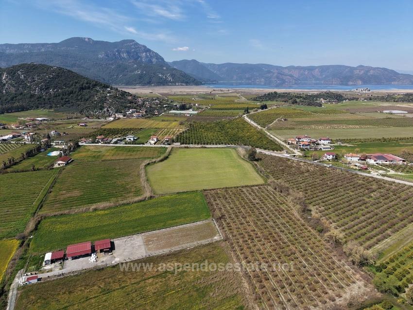17.550M2 Vineyard-Bahce For Sale Close To Dalyan Center