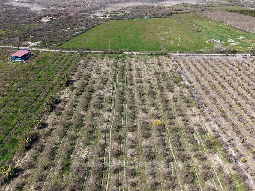 16.710M2 Pomegranate Garden For Sale With Lake View In Eskiköy