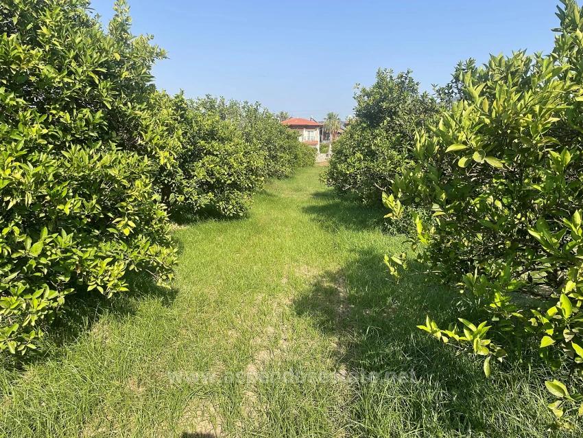 722M2 Land For Sale In Dalyan Gülpınar