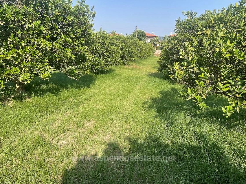 722M2 Land For Sale In Dalyan Gülpınar