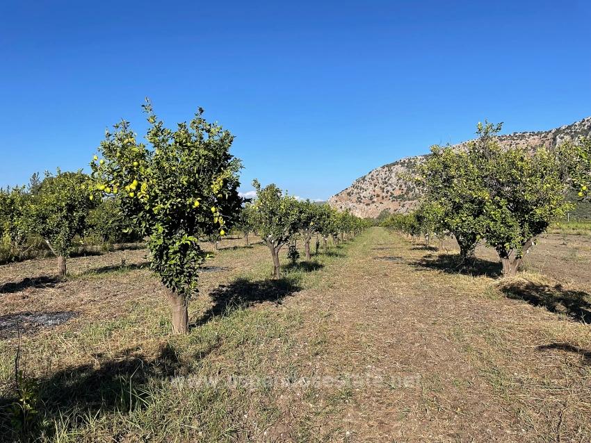 6600M2 Plot Of Land For Sale Near The Center Of Dalyan.