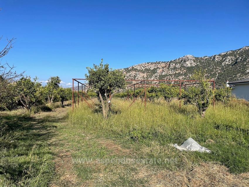 6600M2 Plot Of Land For Sale Near The Center Of Dalyan.