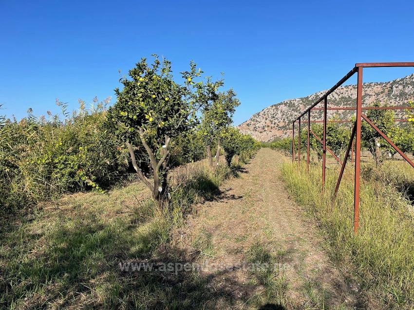 6600M2 Plot Of Land For Sale Near The Center Of Dalyan.