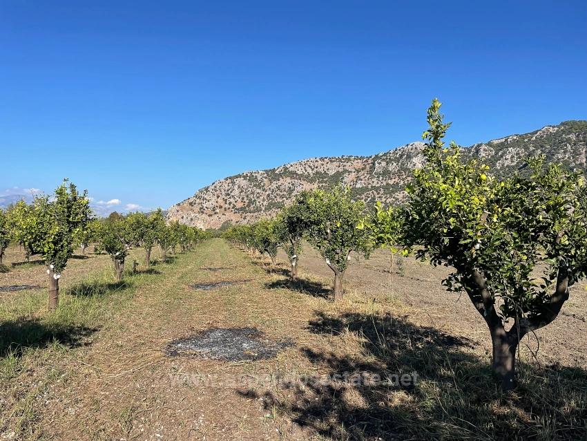 6600M2 Plot Of Land For Sale Near The Center Of Dalyan.