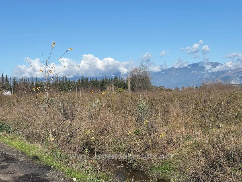 23,000 M² Detached Land For Sale In Tepearası.