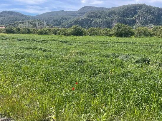 Archers' In Okçular'da 736M2 Olan 250M2 Construction Licensed For Sale Plot
