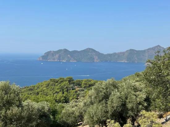 Field with sea view, 21.000 m2, 2b, for sale In Çandır