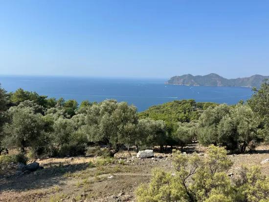 Field with sea view, 21.000 m2, 2b, for sale In Çandır