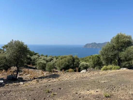 Field with sea view, 21.000 m2, 2b, for sale In Çandır