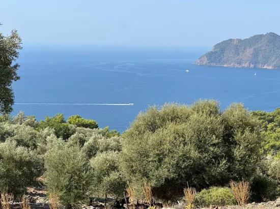Field with sea view, 21.000 m2, 2b, for sale In Çandır