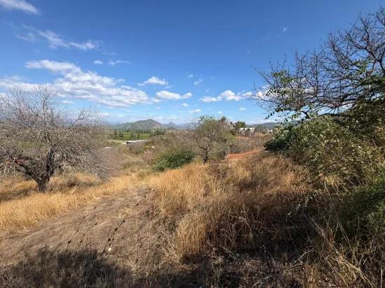 Field for sale, 5.000m2, with lake view In Dalyan, Karadağ
