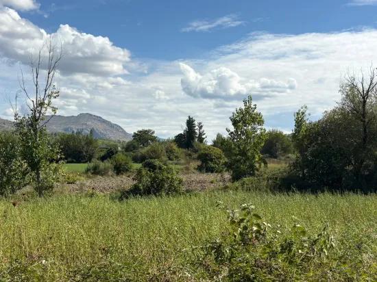 10.500 m2 field for sale In Köyceğiz Zeytinalanı