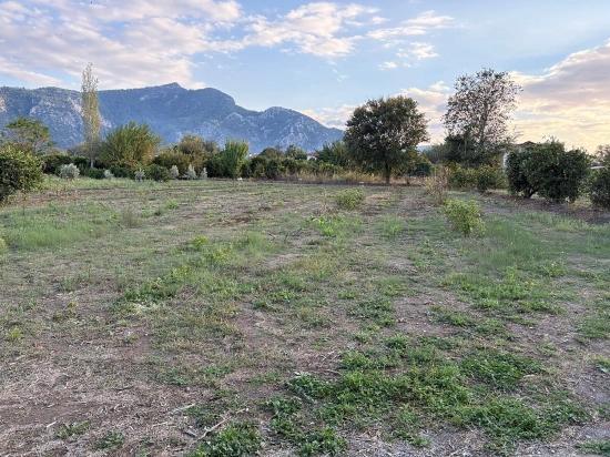 7,450 M² Plot Of Land For Sale In Dalyan With 5% Zoning.