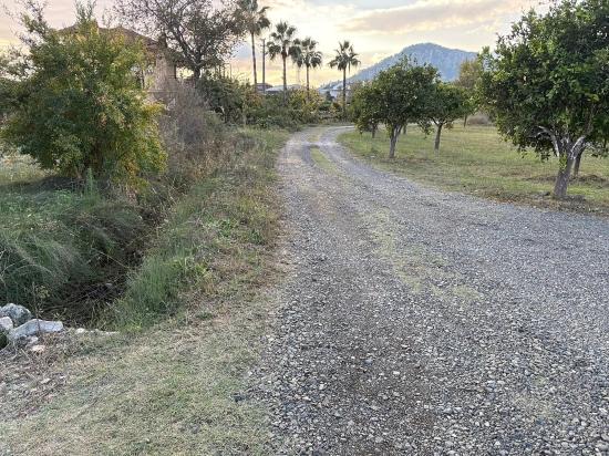 7,450 M² Plot Of Land For Sale In Dalyan With 5% Zoning.