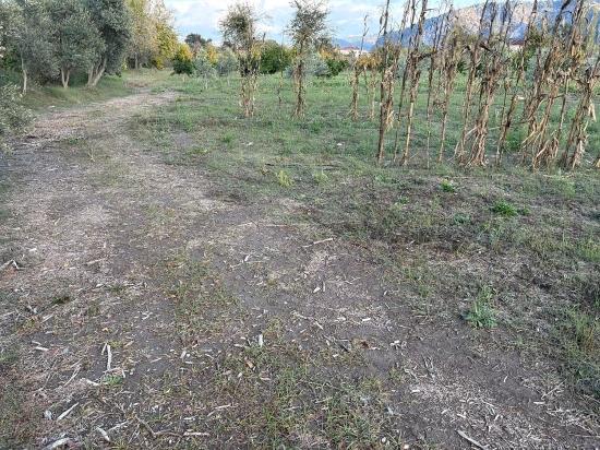 7,450 M² Plot Of Land For Sale In Dalyan With 5% Zoning.