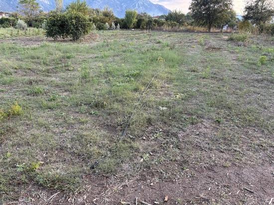 7,450 M² Plot Of Land For Sale In Dalyan With 5% Zoning.