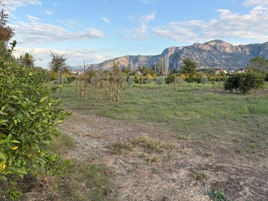 7,450 M² Plot Of Land For Sale In Dalyan With 5% Zoning.