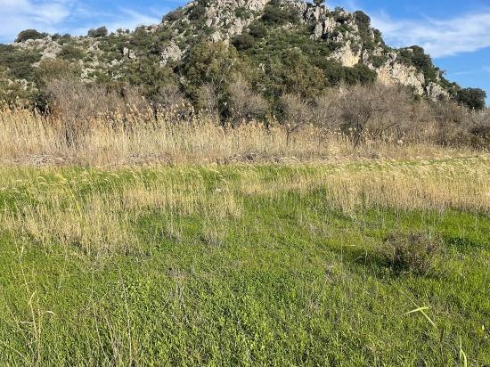 6800 M2 Plot Of Land For Sale In Dalyan With 5% Residential Zoning.