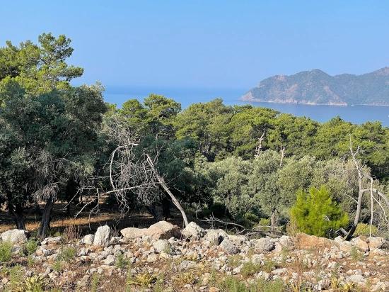Bargain Real Estate Land For Sale With Sea View In Ekincik Çandır Arasın