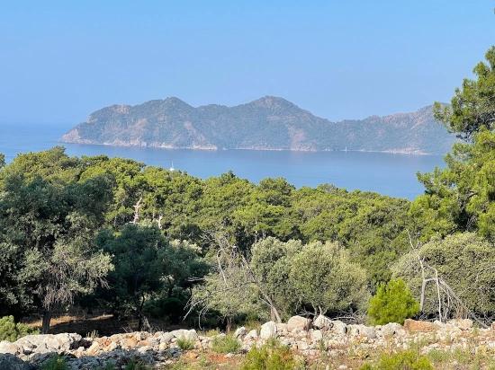 Bargain Real Estate Land For Sale With Sea View In Ekincik Çandır Arasın