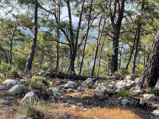 Bargain Real Estate Land For Sale With Sea View In Ekincik Çandır Arasın