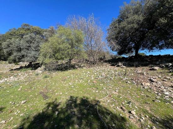 Land For Sale In Gökbel, Surrounded By Nature And Forest.