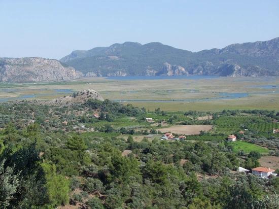 19,334 M² Plot Of Land For Sale In Çandır, Köyceğiz.