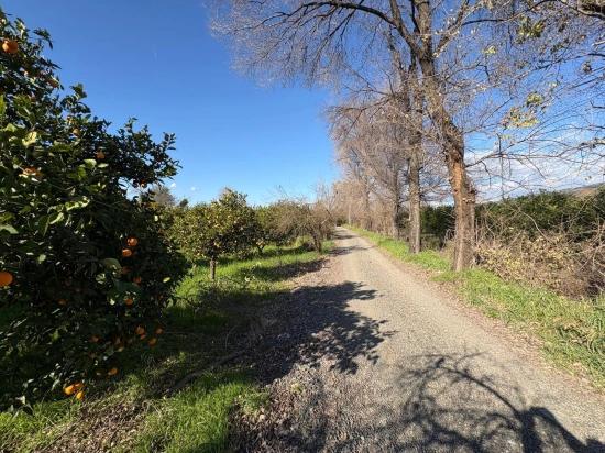 4,326 M² Plot Of Land For Sale In The Residential Area Of Okçular.