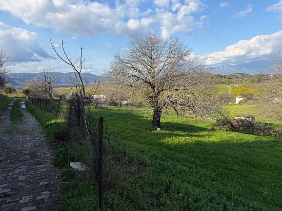 11,230 M² Plot Of Land For Sale In Dalyan With Lake View.