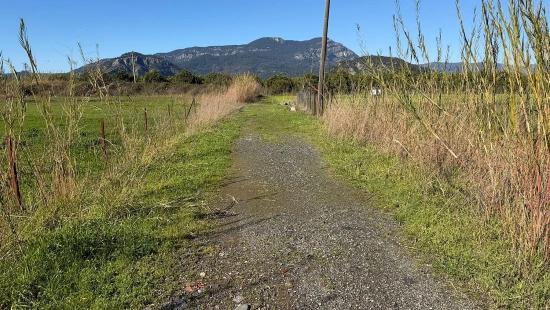 509M2 Land For Sale In Okçular