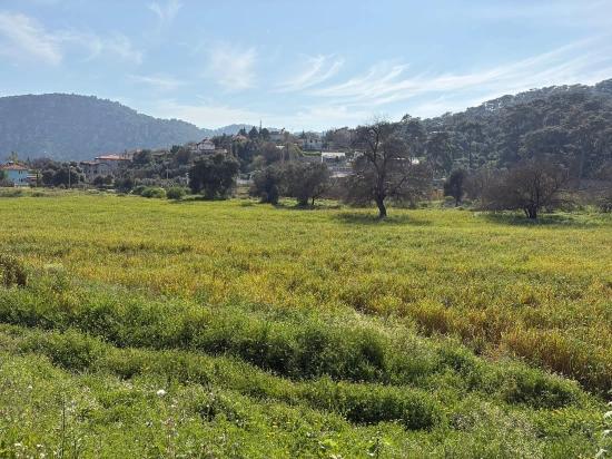2,023 M² Plot Of Land For Sale In Çandır Village, Köyceğiz, With Shared Ownership And Voluntary Partition.