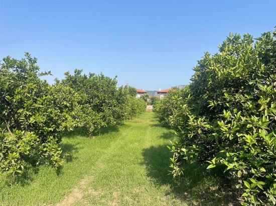 722M2 Land For Sale In Dalyan Gülpınar