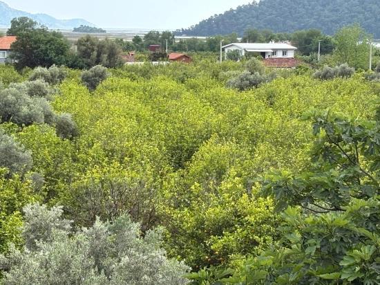 In Çandır, 1.721M2 Land For Sale With Sea And Lake View