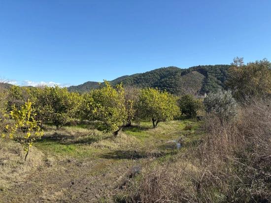 23,000 M² Detached Land For Sale In Tepearası.