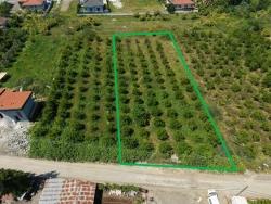 Land For Sale In Okçular, 1050M2, In The Village Residential Area.