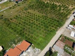 Land For Sale In Okçular, 1050M2, In The Village Residential Area.