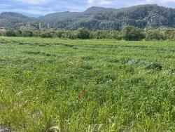 Land For Sale in Okçular Nbh. Ortaca - Housing Zoned - 736 m²