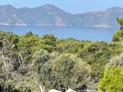 Field For Sale in Çandır Nbh. Köyceğiz - Housing Zoned - 10.481 m²