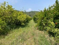 Field For Sale in Gökbel Nbh. Ortaca - Housing Zoned - 7.800 m²
