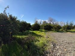 Land For Sale in Okçular Nbh. Ortaca - Housing Zoned - 4.326 m²