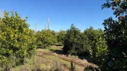 Land For Sale in Okçular Nbh. Ortaca - Housing Zoned - 2.218 m²