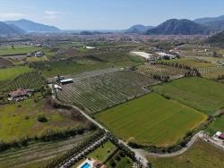17.550M2 Vineyard-Bahce For Sale Close To Dalyan Center