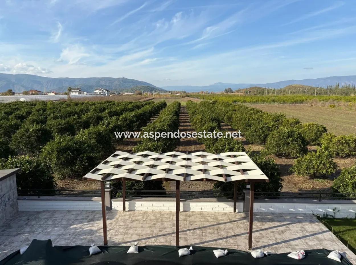 4 1 Villas For Sale In 14.136 M2 Field In Eskiköy